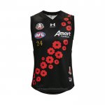 Camiseta Essendon Bombers AFL 2022