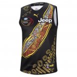 Camiseta Richmond Tigers AFL 2021 Indigena