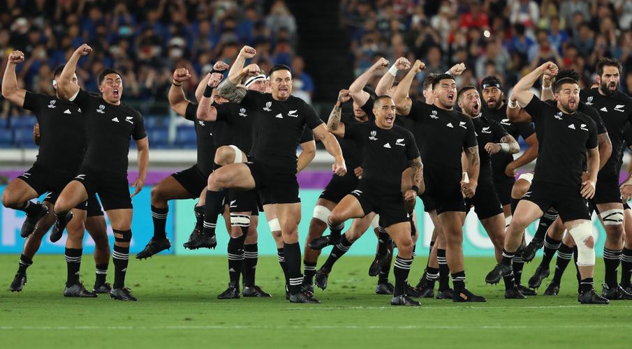 camiseta rugby All Blacks 2019